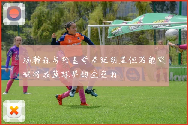 杨瀚森与约基奇差距明显但若能突破将成篮球界的全垒打