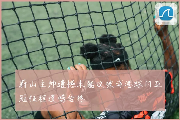 蔚山主帅遗憾未能攻破海港球门亚冠征程遗憾告终